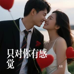 只对你有感觉