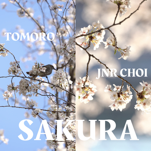 SAKURA
