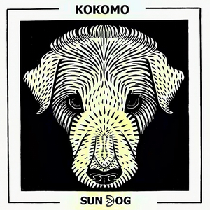 Sundog (Electronica)