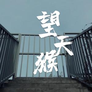 望天猴晕倒了