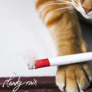 Animal I Have Become