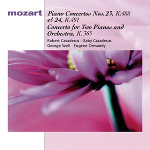 Piano Concerto No. 24 in C Minor, K. 491:III. Allegretto