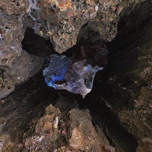 The Myth of Progress