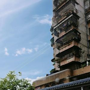 不要迷茫不要慌张