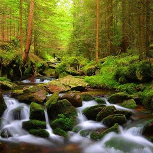 爱己者的上上签