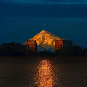 患&TheRemedyForaBrokenHeart