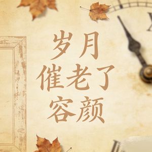 岁月催老了容颜