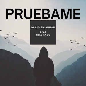 Pruebame