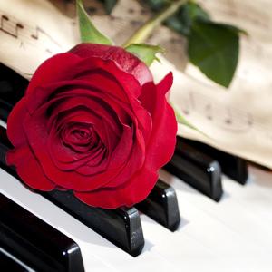 哈瓦那的孩子 (钢琴独奏版)