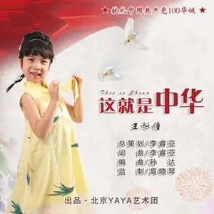 这就是中华