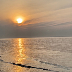 光字片(cover:周深)