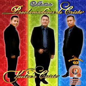 LLEGARONSE LOS TIEMPOS