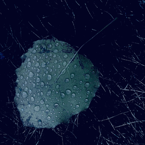 petrichor (feat. The Lost Kansas Instrumentals)