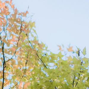 原唱《鄞州职教中心校歌》