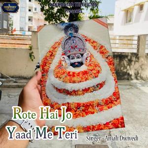 Rote Hai Jo Yaad Me Teri