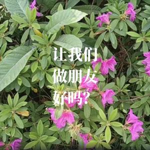 让我们做朋友好吗