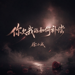 你欠我的如何补偿