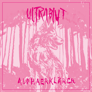 Alphaerklärer