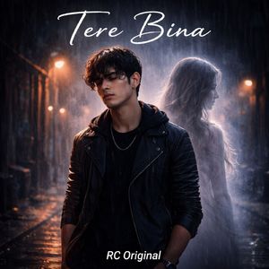Tere Bina