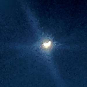 爱你爱你没有原因