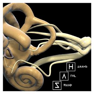 Stirrup (feat. Tom Parker)