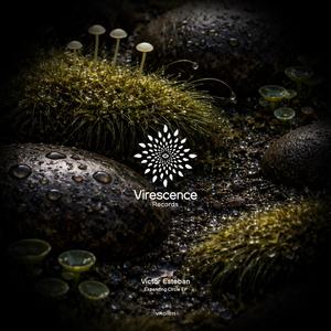 Obsidian (Original Mix)