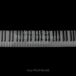 Misty Summit Solitude