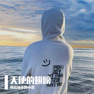 天使的翅膀（翻唱）