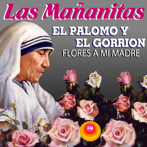 Mil Flores de Mayo