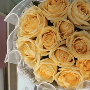 下次见（你说下次见下次在哪天）