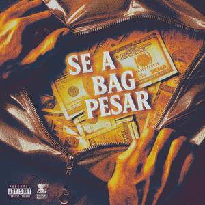 Se a Bag Pesar