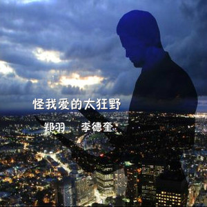 怪我爱得太狂野