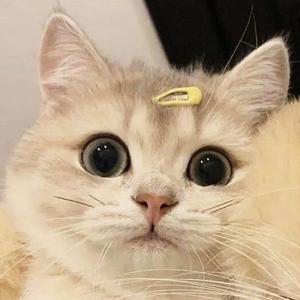 马年归乡团圆  
马年烟花下的邂逅  
马年追梦不停