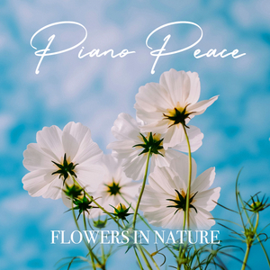 Geranium (with Raindrops)