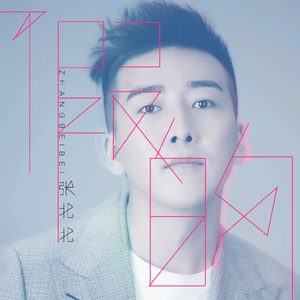 假的 (DJ. XY Remix)