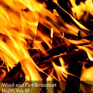 Relaxing Nature Bonfire