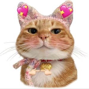 奇思妙想哈基米