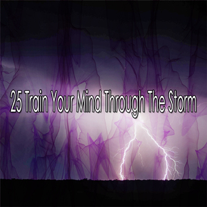 暴风雨前的平静