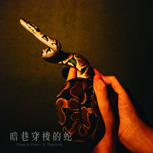 暗巷穿梭的蛇 (feat. 芮鯊 RapShark)