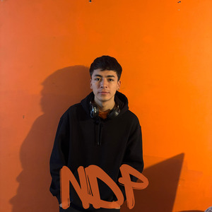 Ndp