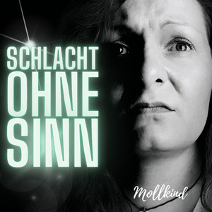 Schlacht ohne Sinn