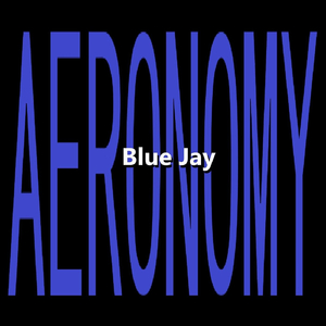 Blue Jay