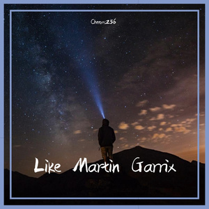 Martin Garrix-used to love（Bottlege by Høpefully）