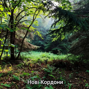 Нові кордони