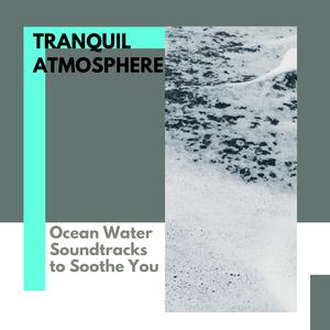 Mesmerising South Carolina Beach