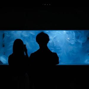 恋恋（ 温柔女声版）