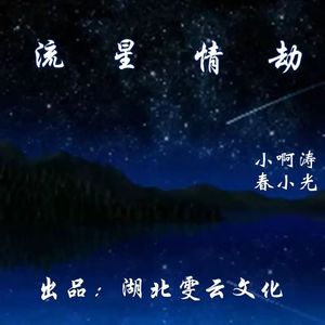 流星情劫