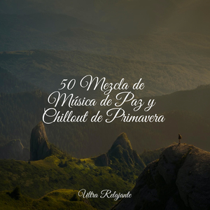 Majestuosa Cima De La Montaña