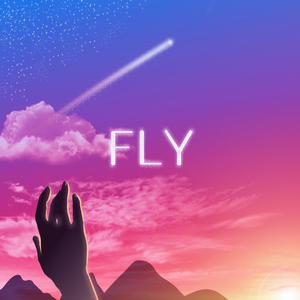 Fly