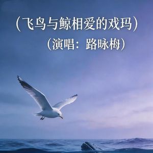 飞鸟与鲸相爱的戏码